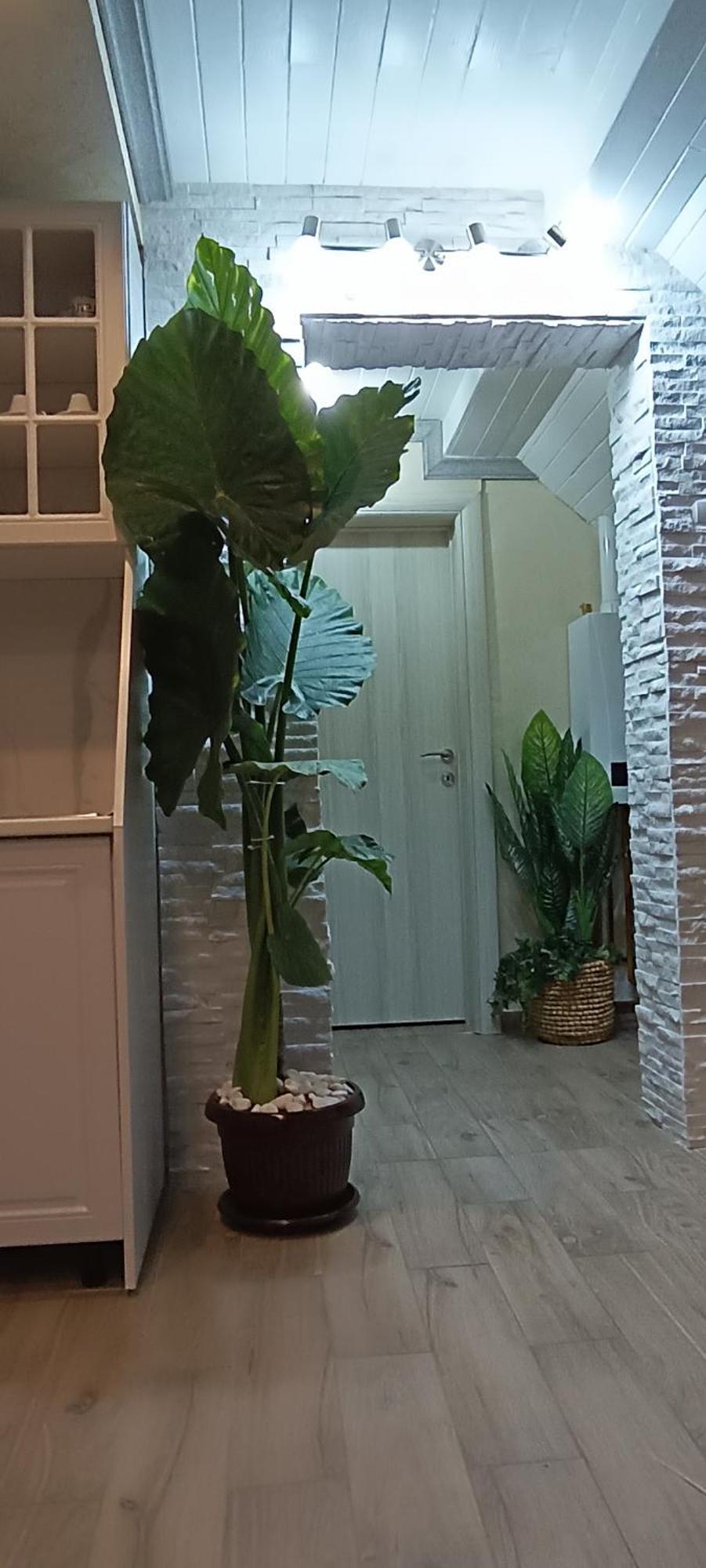 Rb Apartment 1 帕利克 外观 照片