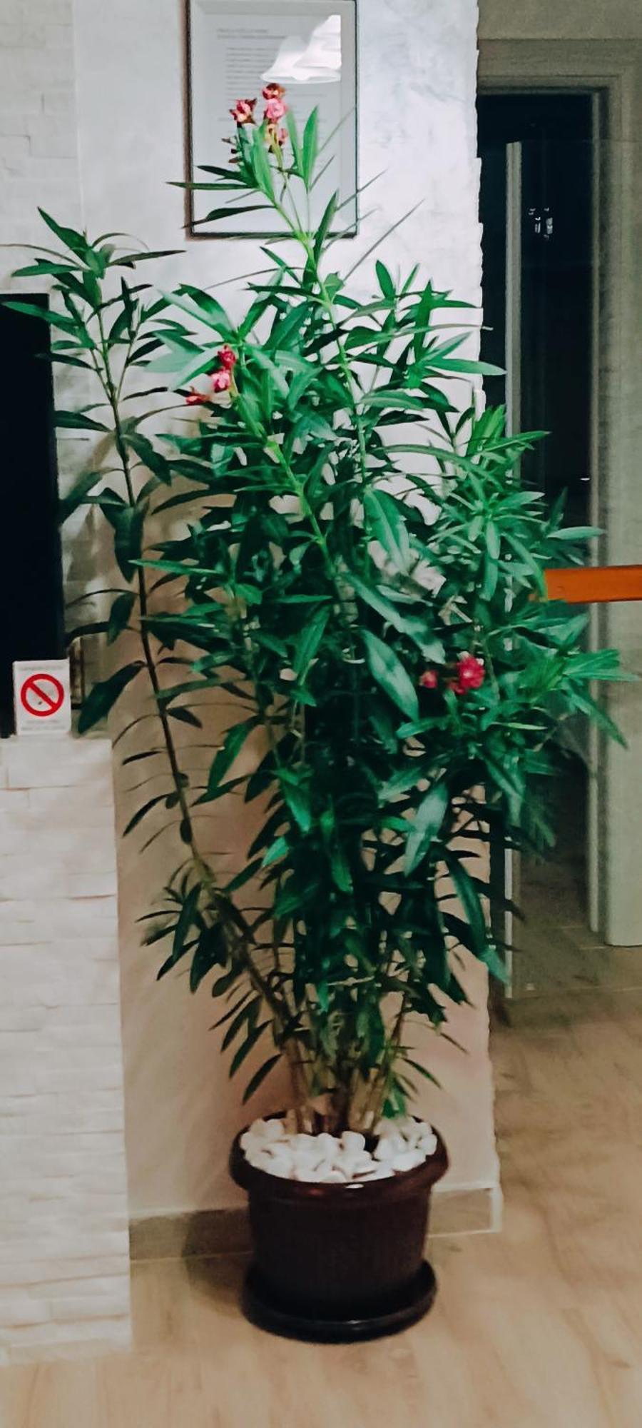 Rb Apartment 1 帕利克 外观 照片